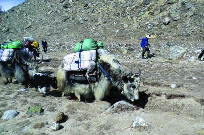 Caminata acompañados de Sherpas para subir al Everest