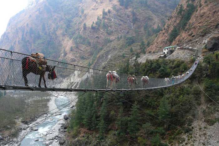 Caminata por el Parque Everest