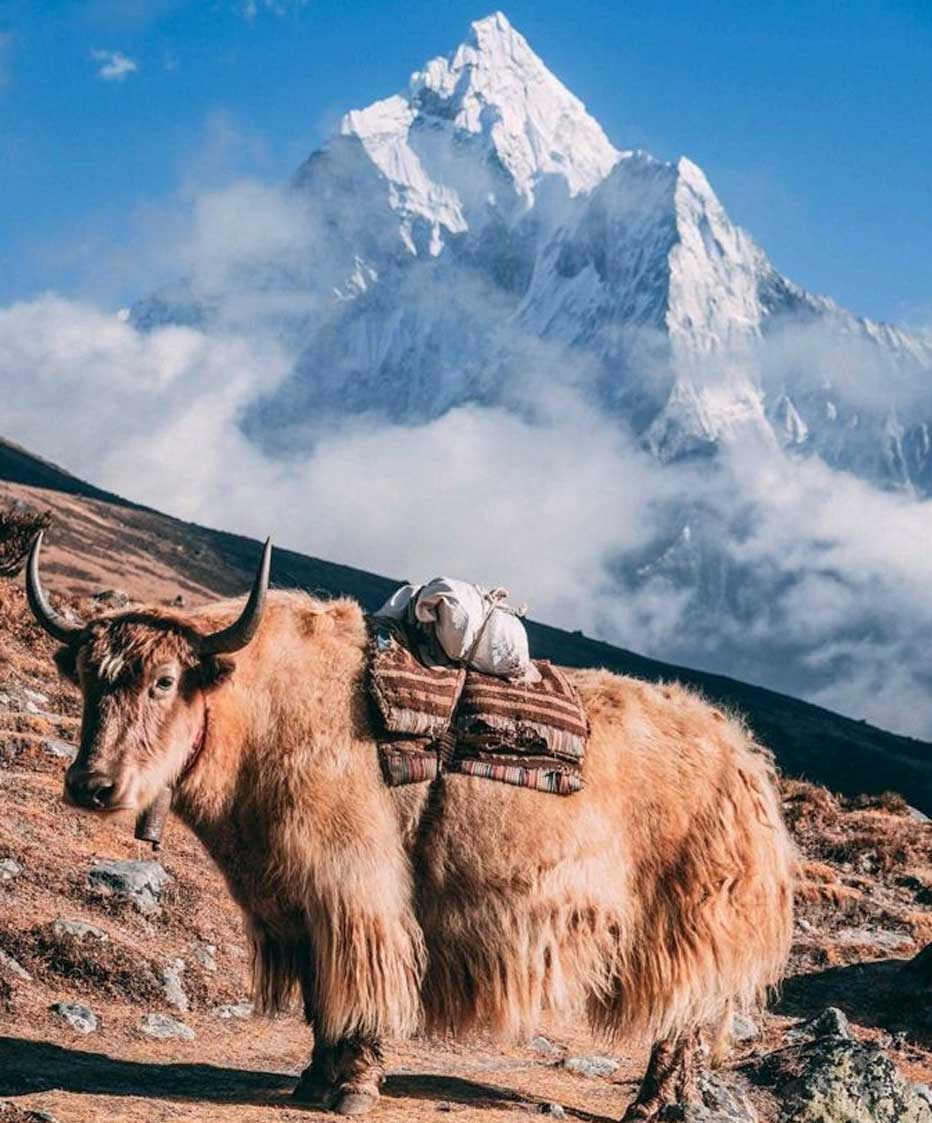 Vuelta tras subir al Everest